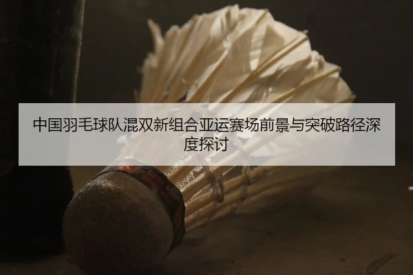 中国羽毛球队混双新组合亚运赛场前景与突破路径深度探讨（Bandao Sports）